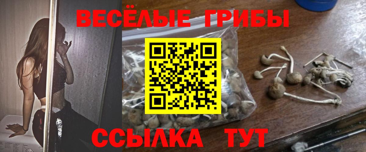Псилоцибиновые грибы Cubensis  Псилоцибиновые грибы мухоморы  Грязи  Вход с VPN 