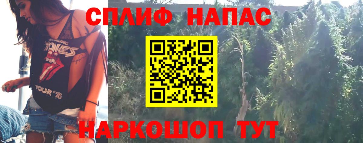 Шишки марихуана OG Kush Грязи